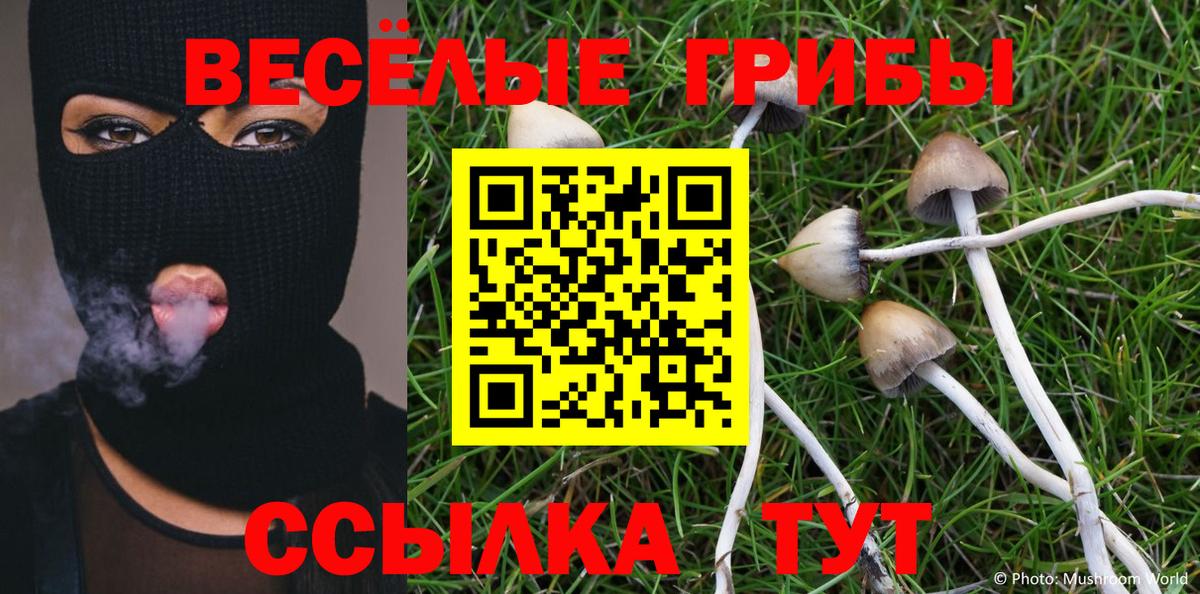 Йошкар-Ола  Галлюциногенные грибы MAGIC MUSHROOMS  Вход с VPN 