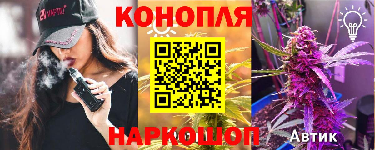 Бошки Шишки семена  Бошки Шишки THC 21%  Йошкар-Ола  Вход с VPN 
